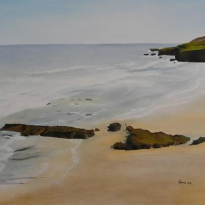 P1000601 S1