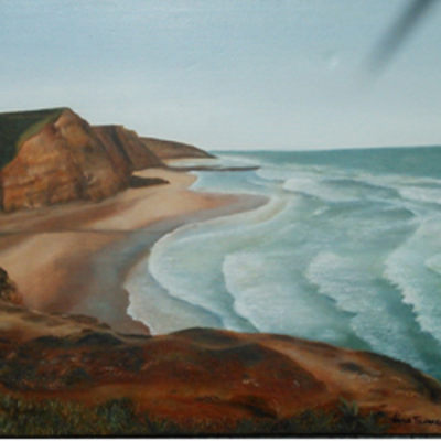 Praia Costa Vicentina1